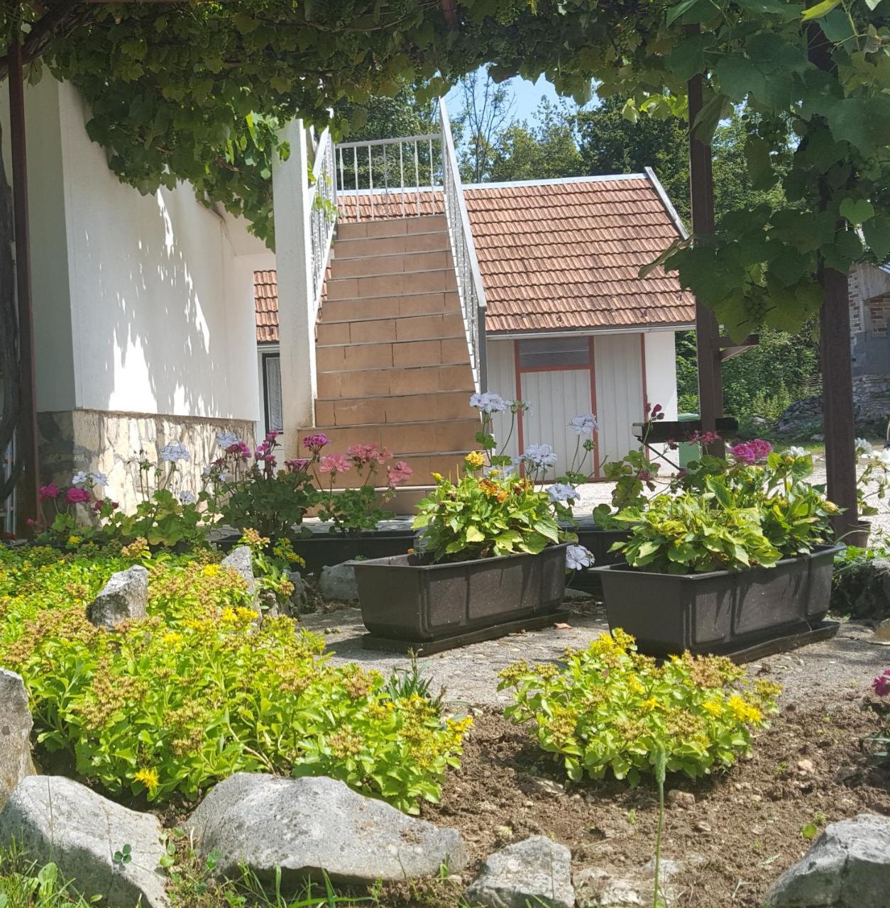 House Luketic Hotel Rastovača Екстериор снимка